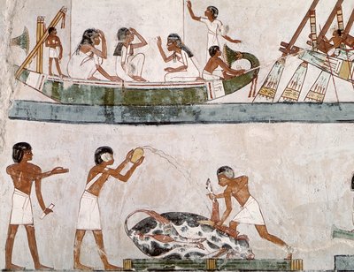 Sacrificio e Purificazione di un Toro, e un Rituale di Navigazione, dalla Tomba di Menna da Egyptian 18th Dynasty